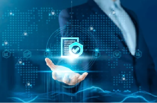 Advisory & Research Support govtech